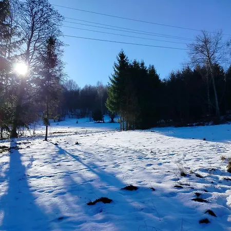 Zapach Lasu Polanica -zdroj 3* Pokrzywno (Klodzko)