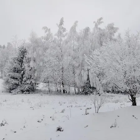 Zapach Lasu Polanica -zdroj Pokrzywno (Klodzko)