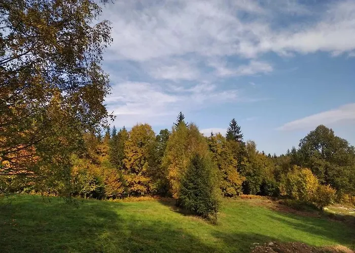 Penzion Zapach Lasu Polanica -zdroj