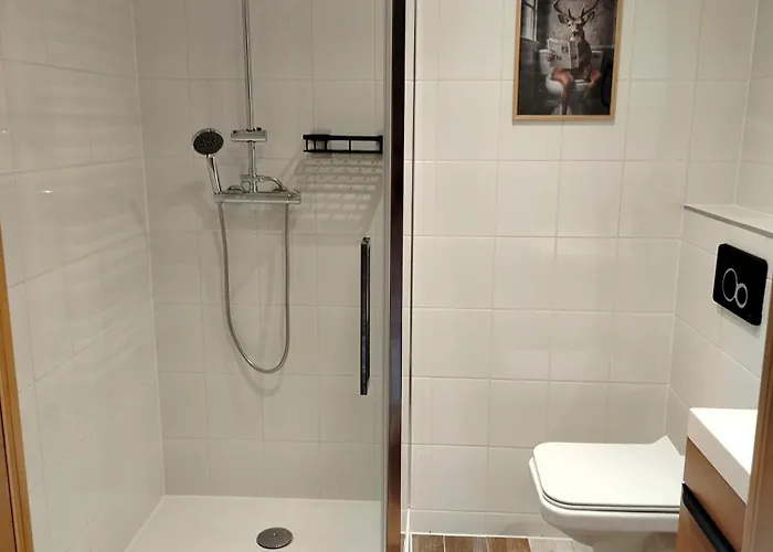 Zapach Lasu Polanica -zdroj Penzion