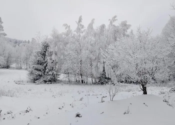 Zapach Lasu Polanica -zdroj Pokrzywno (Klodzko)