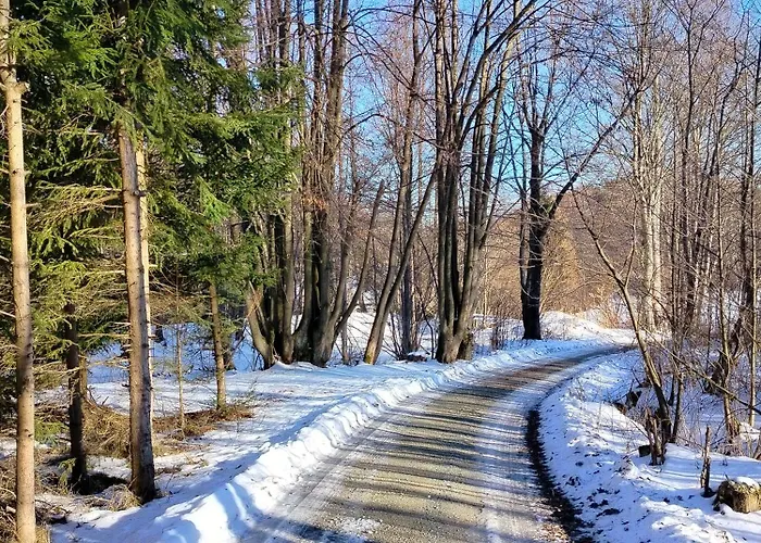 Zapach Lasu Polanica -zdroj 3* Pokrzywno (Klodzko)